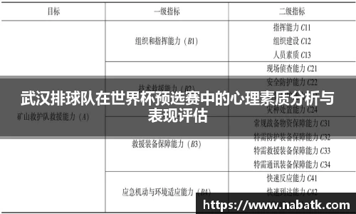 武汉排球队在世界杯预选赛中的心理素质分析与表现评估